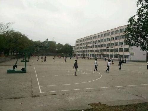 清江中学爆料事件视频,视频揭露惊人真相