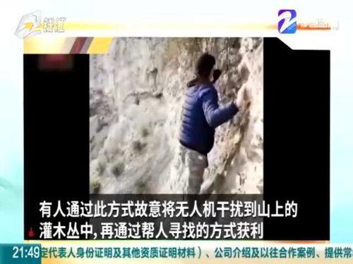 太子爆料失踪视频大全集,揭秘失踪视频背后的惊人真相