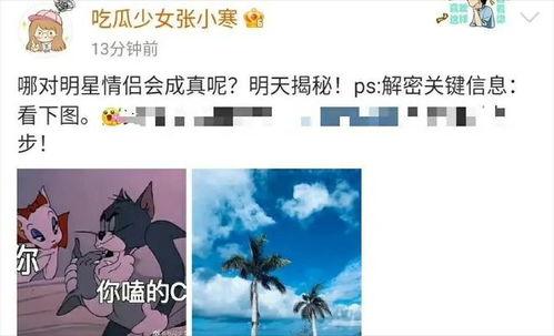张小寒今日爆料视频大全,揭秘娱乐圈幕后真相  第3张